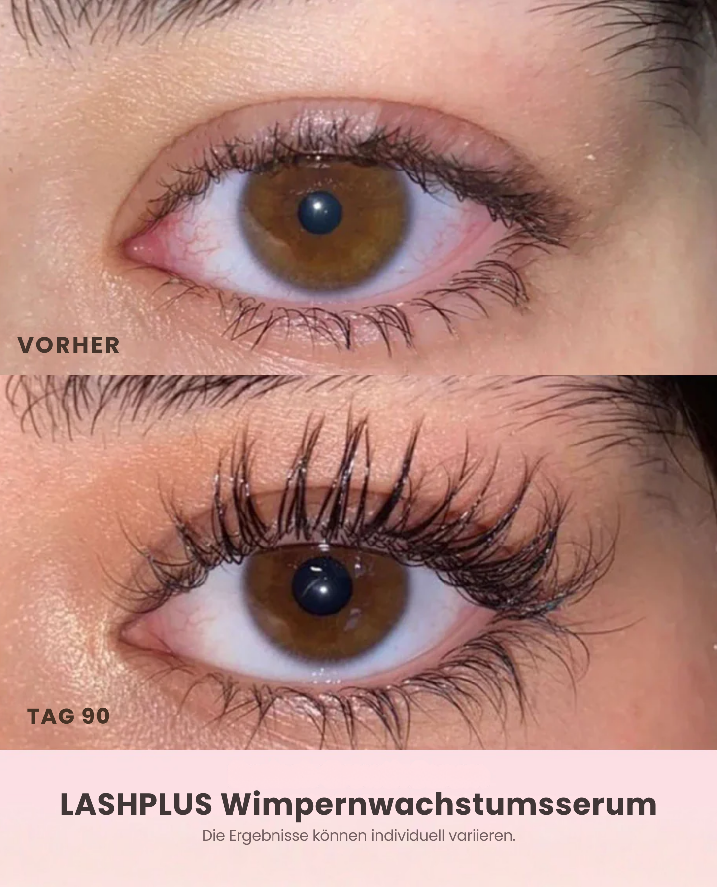 Serum für Wimpernwachstum - Lashplus